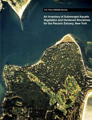 Kniha An Inventory of Submerged Aquatic Vegetation and Hardened Shorelines for the Peconic Estuary, New York Ralph W Tiner