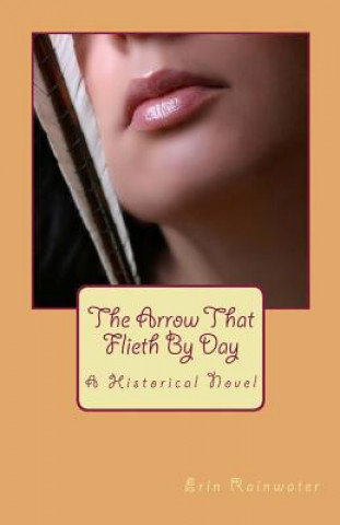 Книга The Arrow That Flieth by Day Erin Rainwater