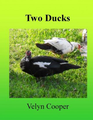 Książka Two Ducks Velyn Cooper