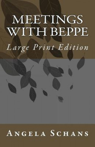 Carte Meetings With Beppe: Large Print Edition Angela Schans