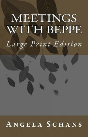 Kniha Meetings With Beppe: Large Print Edition Angela Schans