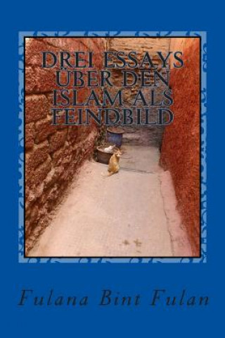 Könyv Drei Essays über den Islam als Feindbild Fulana Bint Fulan