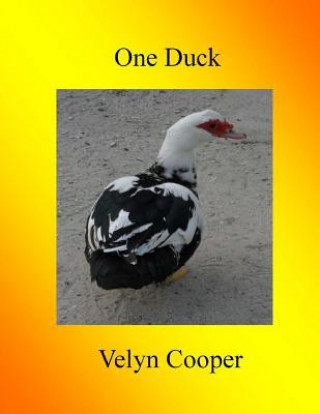Carte One Duck Velyn Cooper