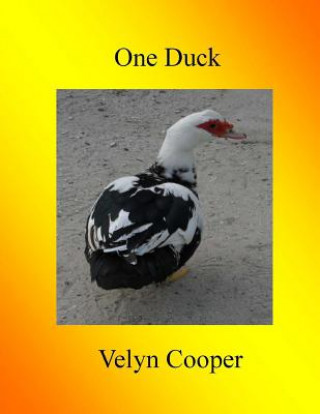 Kniha One Duck Velyn Cooper