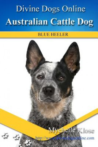 Kniha Australian Cattle Dogs: Divine Dogs Online Mychelle Klose