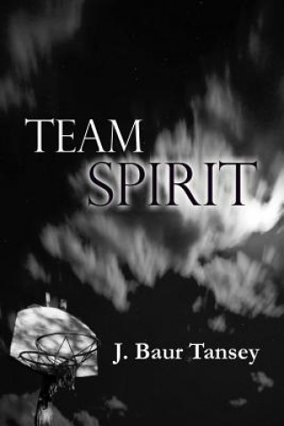 Kniha Team Spirit J Baur Tansey