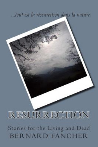 Könyv Resurrection: Stories for the Living and Dead Bernard Fancher