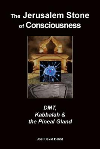 Carte The Jerusalem Stone of Consciousness: DMT, Kabbalah and the Pineal Gland Joel David Bakst