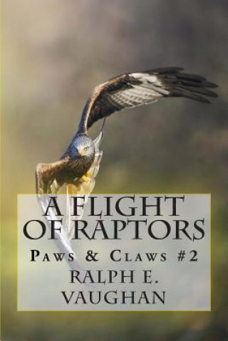 Carte Flight of Raptors Ralph E Vaughan