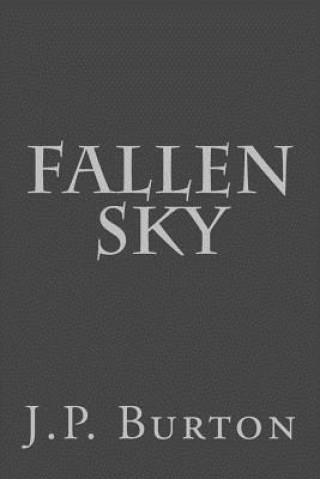 Boek Fallen Sky J P Burton