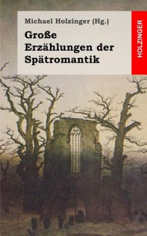 Книга Große Erzählungen der Spätromantik Michael Holzinger