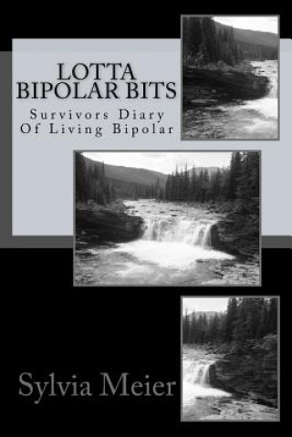Książka Lotta Bipolar Bits: Survivors Diary Of Living Bipolar Sylvia Meier