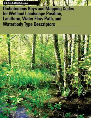 Carte Dichotomous Keys and Mapping Codes for Wetland Landscape Position, Landform, Water Flow Path, and Waterbody Type Descriptors Ralph W Tiner