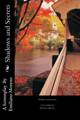 Boek Shadows and Secrets Emiliano D Moreno