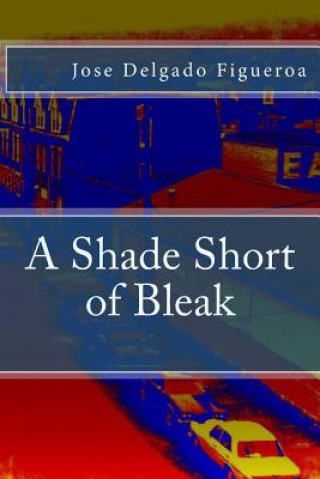 Carte A Shade Short of Bleak Jose Delgado Figueroa