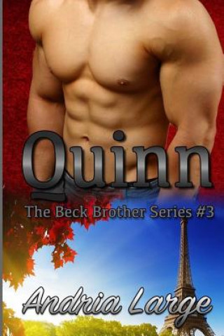 Kniha Quinn: (The Beck Brothers Series) Andria Large