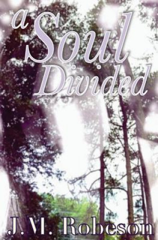 Könyv A Soul Divided J M Robeson