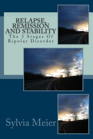 Buch Relapse, Remission and Stability: The 3 Stages Of Bipolar Disorder Sylvia Meier