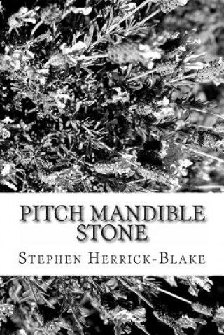 Книга Pitch Mandible Stone Stephen Herrick-Blake