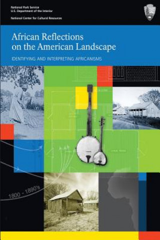 Książka African Reflections on the American Landscape Brian D Joyner