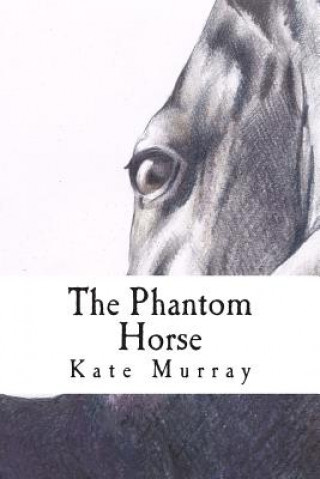 Book The Phantom Horse: A Selection of Short Stories Kate Murray