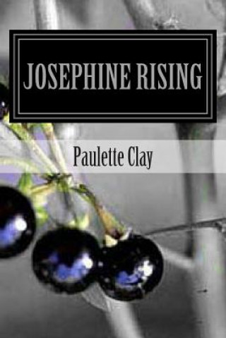 Könyv Josephine Rising Paulette Clay