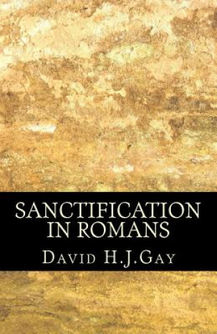 Kniha Sanctification in Romans David H J Gay