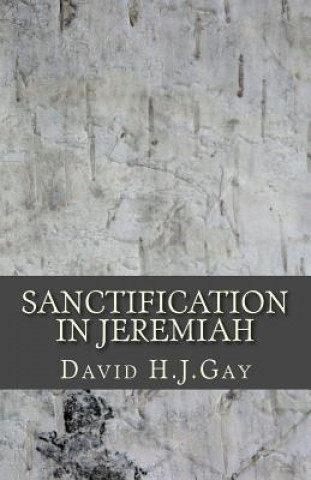 Książka Sanctification in Jeremiah David H J Gay