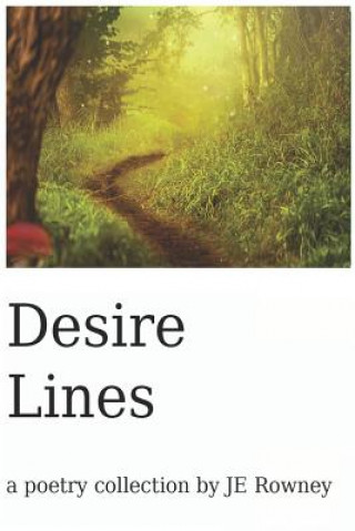 Kniha Desire Lines J E Rowney