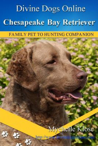 Carte Chesapeake Bay Retrievers: Divine Dogs Online Mychelle Klose