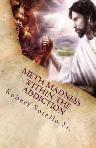Carte METH Madness Within The Addiction Robert Sotello Sr