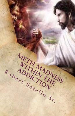 Книга METH Madness Within The Addiction Robert Sotello Sr