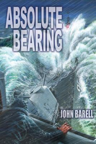 Kniha Absolute Bearing John Barell