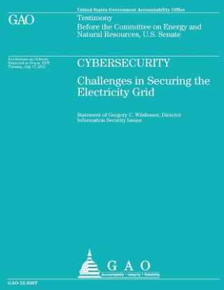 Kniha Cyberstudy: Challenges in Securing the Electricity Grid Government Accountability Office (U S )