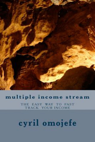 Libro multiple income stream MR Cyril Joshua Omojefe