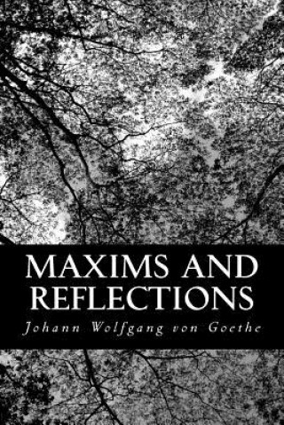 Kniha Maxims and Reflections Johann Wolfgang von Goethe
