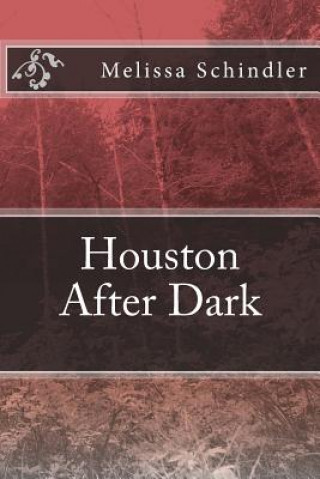 Kniha Houston After Dark Melissa Ann Schindler