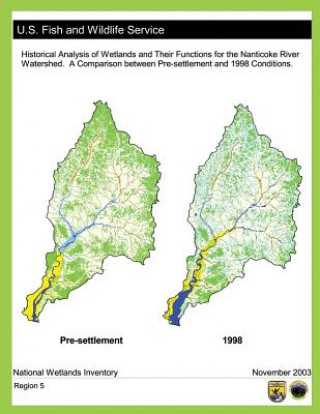 Kniha Historical Analysis of Wetlands and Their Functions For the Nanticoke River Watershed: A Comparison between Pre-settlement and 1998 Conditions U S Fish and Wildlife Service