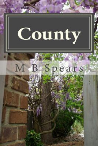 Kniha County: Memory Is My Name M B Spears