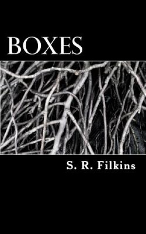 Könyv Boxes S R Filkins