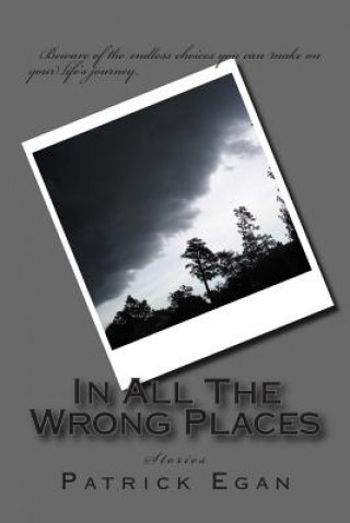 Kniha In All The Wrong Places: Stories Patrick Egan