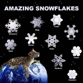 Kniha Amazing Snowflakes Richard Matevosyan