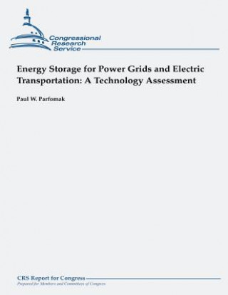 Kniha Energy Storage for Power Grids and Electric Transportation: A Technology Assessment Paul W Parfomak