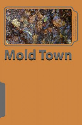 Book Mold Town Angela Dungee-Farley