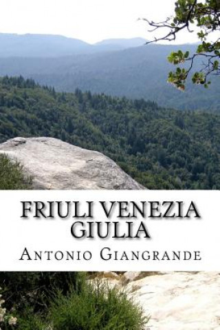 Kniha Friuli Venezia Giulia: Quello Che Non Si Osa Dire Antonio Giangrande