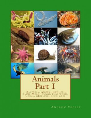 Książka Animals Part 1: Bacteria, Amoeba, Sponge, Slime Mold, Fungi, Tube worm, Coral, Mollusc, Fish, Crab Andrew Vecsey