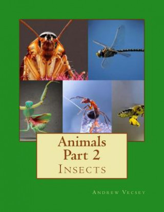 Książka Animals Part 2: Insects Andrew Vecsey