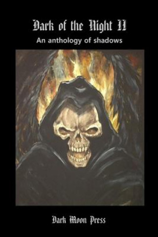 Kniha Dark of the Night: Anthology of Shadows Two E R Vernor
