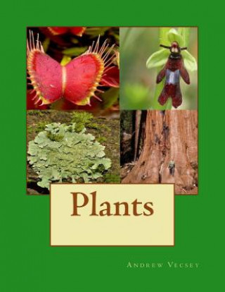 Buch Plants Andrew Vecsey