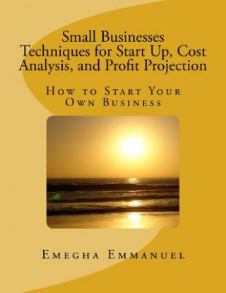Kniha Small Businesses Techniques for Start Up, Cost Analysis, and Profit Projection: How to Start Your Own Business Emegha Omoruyi Emmanuel